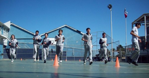 Docente UVM participará en 1er Ciclo de Seminarios «Programa de Actividad Física Escolar»