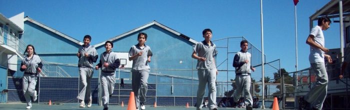 Docente UVM participará en 1er Ciclo de Seminarios «Programa de Actividad Física Escolar»