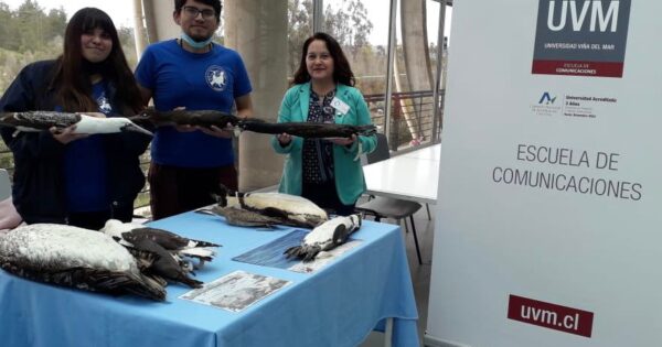 Estudiantes de Relaciones Públicas organizan exposición de ONG Ecomar Chile