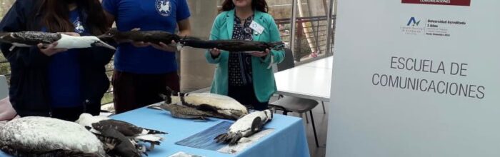 Estudiantes de Relaciones Públicas organizan exposición de ONG Ecomar Chile