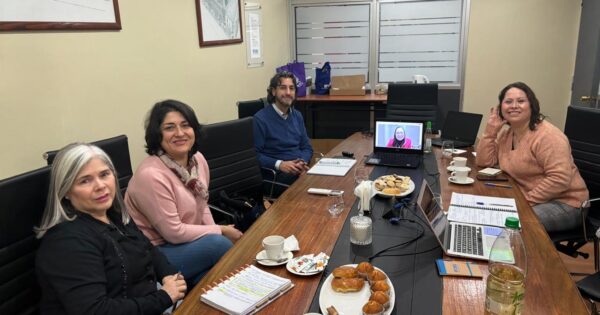 Escuela de Educación UVM e Instituto Profesional de Chile pactaron futura colaboración