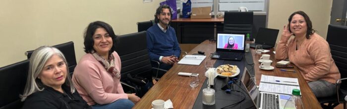 Escuela de Educación UVM e Instituto Profesional de Chile pactaron futura colaboración