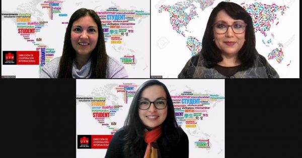2° taller de capacitación UVM «Paso a Paso: ¿cómo planificar un COIL?»