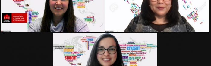 2° taller de capacitación UVM «Paso a Paso: ¿cómo planificar un COIL?»