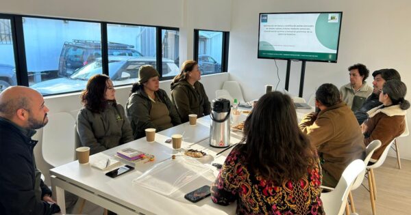 UVM y Jardín Botánico Nacional Viña del Mar realizan investigación colaborativa sobre árboles nativos