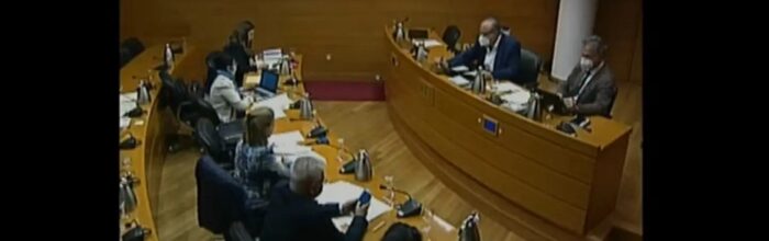 UVM estuvo presente en Comisión Especial de Discapacidad y Diversidad Funcional en España