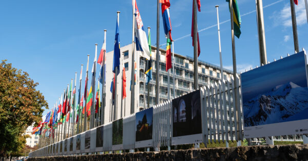Académica UVM es nombrada como investigadora colaboradora en la UNESCO Bienestar