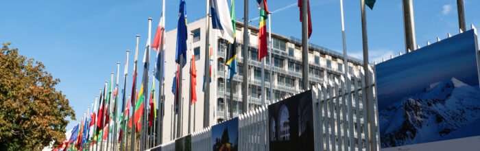 Académica UVM es nombrada como investigadora colaboradora en la UNESCO Bienestar