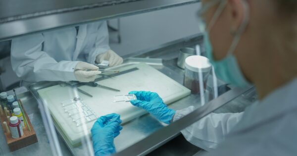 Unidad de Morfohistología UVM participa en comité organizador de importante certamen científico