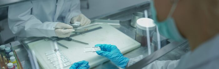 Unidad de Morfohistología UVM participa en comité organizador de importante certamen científico