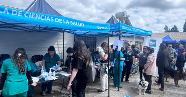 Estudiantes de Medicina Veterinaria desarrollaron operativo en sede vecinal El Peumo de Villa Alemana