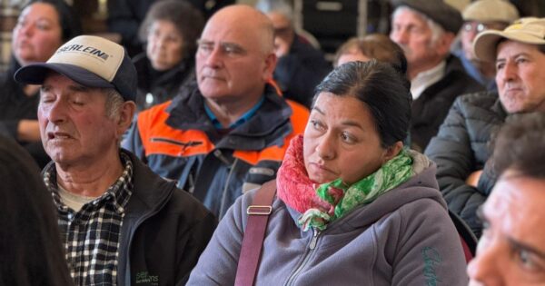 Alianza entre Municipalidad de Limache y UVM llevará atención veterinaria a ganaderos