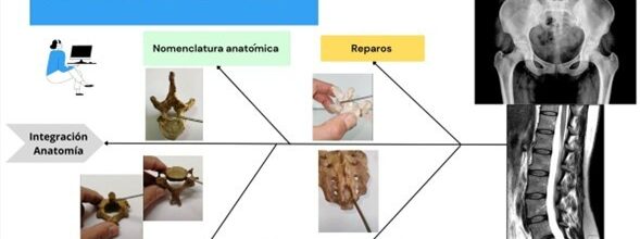 Unidad de Ciencias Aplicadas desarrolla cápsulas para recordar la anatomía