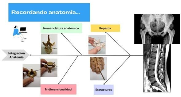 Unidad de Ciencias Aplicadas desarrolla cápsulas para recordar la anatomía