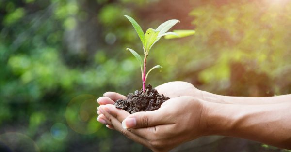 Carreras relacionadas con el medio ambiente y la naturaleza