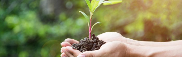 Carreras relacionadas con el medio ambiente y la naturaleza