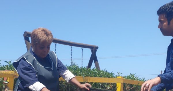 Escuela de Cs. Agrícolas, Veterinarias y Medio Ambiente vincula a sus estudiantes con el entorno social