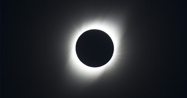 Animales y eclipses: ¿Qué reacciones tienen estos?