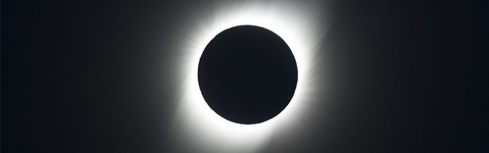 Animales y eclipses: ¿Qué reacciones tienen estos?