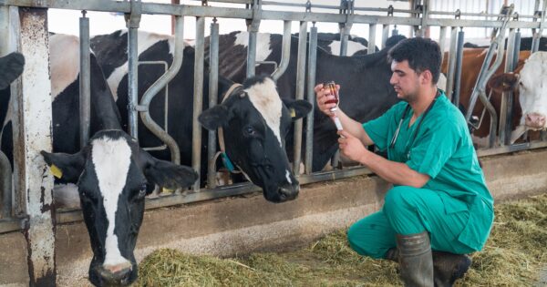 Descubre la Escuela de Ciencias Agrícolas y Veterinarias UVM