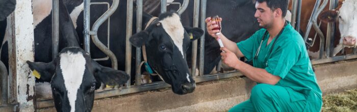 Descubre la Escuela de Ciencias Agrícolas y Veterinarias UVM