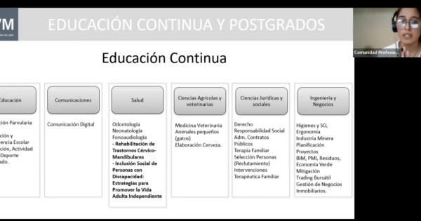 Carrera de Kinesiología analiza contexto laboral en focus group con  titulados 🏛 Universidad Viña del Mar (UVM)