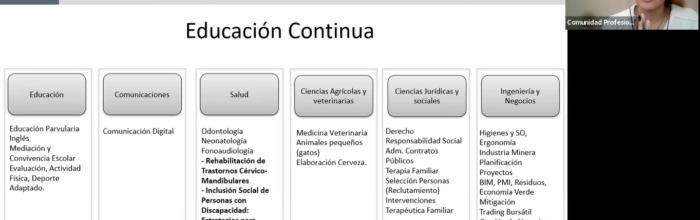 Carrera de Kinesiología analiza contexto laboral en focus group con titulados