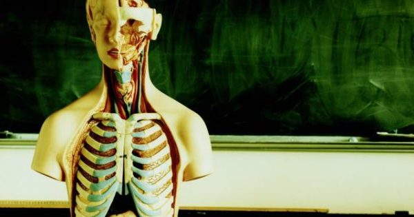 MÁS DE 120 ESTUDIANTES DE ENSEÑANZA MEDIA PARTICIPARÁN DE LAS PRIMERAS OLIMPIADAS DE ANATOMÍA