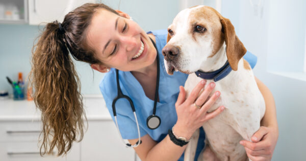 Conoce el Hospital Veterinario que tiene la UVM