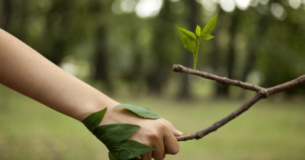 Carrera de Ingeniería en Medio Ambiente y Recursos Naturales obtuvo 5 años de certificación