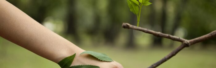 Carrera de Ingeniería en Medio Ambiente y Recursos Naturales obtuvo 5 años de certificación