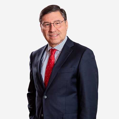 Jos茅 Palacios Guzm谩n