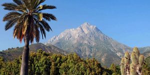 Cerro La Campana