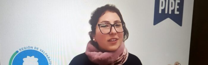 Arte en la primera infancia fue eje del Taller 4 del Programa PIPE Explora Valparaíso