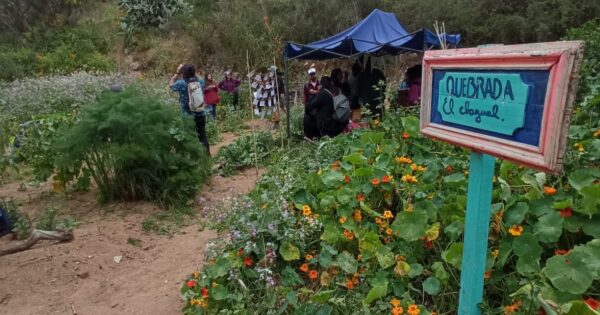 Trabajo Social realiza taller de formación ciudadana “La ruta de la basura: Recorriendo Aprendo”