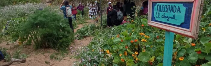 Trabajo Social realiza taller de formación ciudadana «La ruta de la basura: Recorriendo Aprendo»